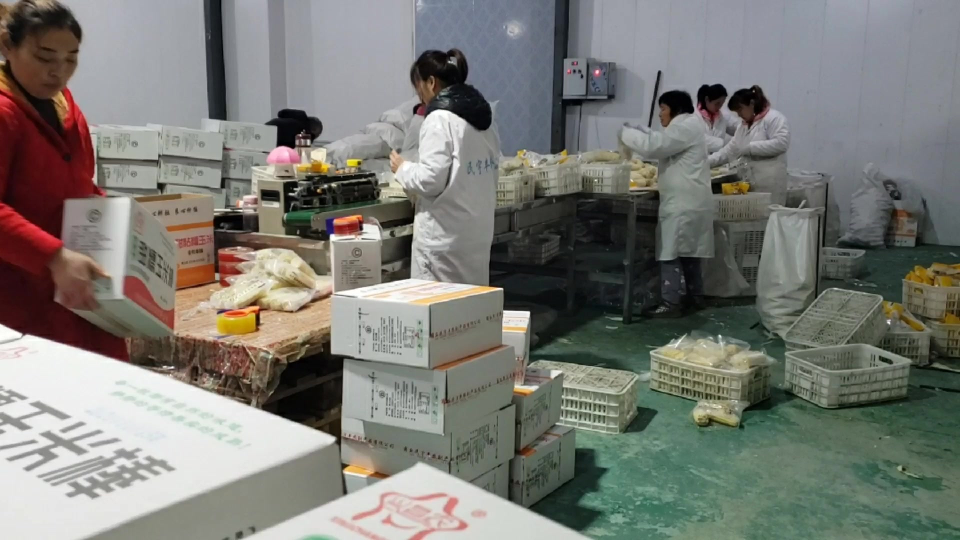 丰收季里的赶货热潮 农村工厂奏响农副产品深加工交响曲