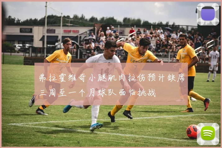 弗拉霍维奇小腿肌肉拉伤预计缺席三周至一个月球队面临挑战